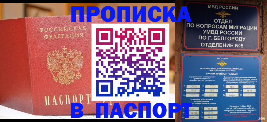 временная регистрация в квартире в Шагонаре